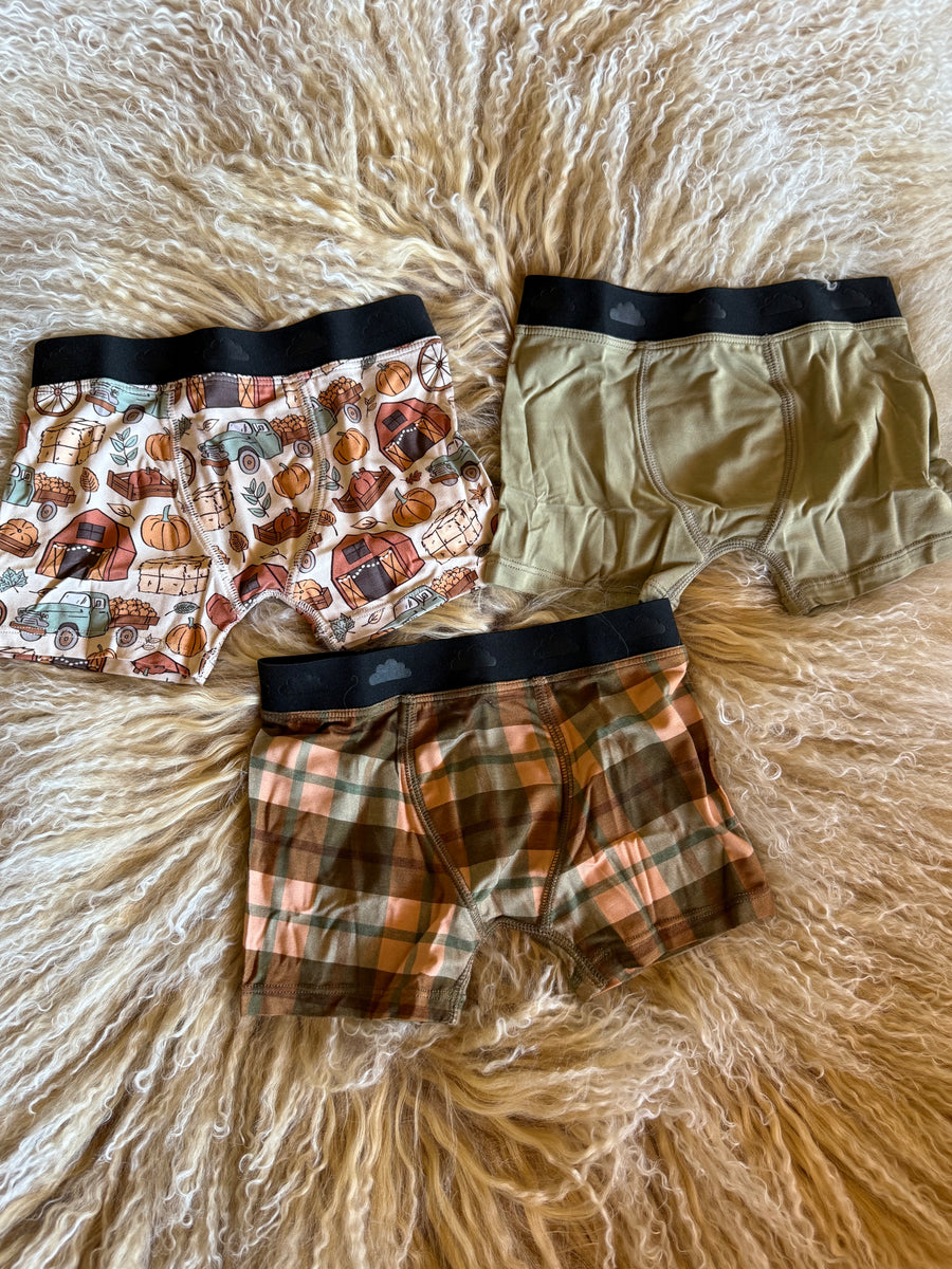 Harvest Dream Boy’s Boxer Brief Set